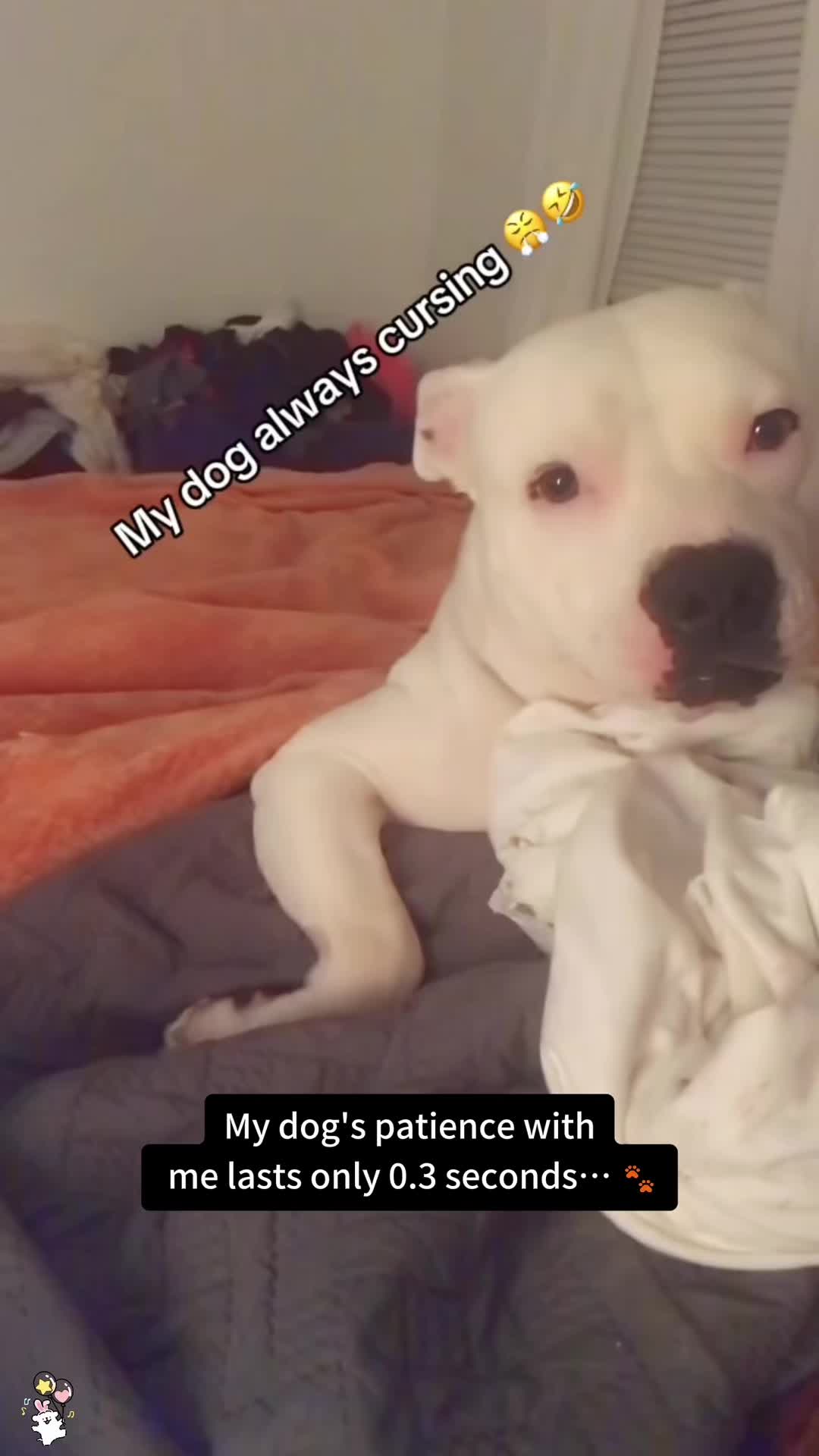 @SneakyFails