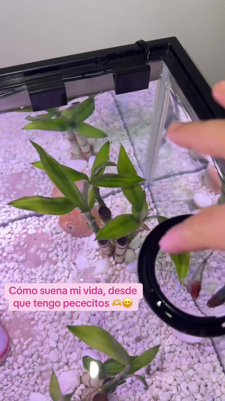 @Alondra Sol&iacute;s