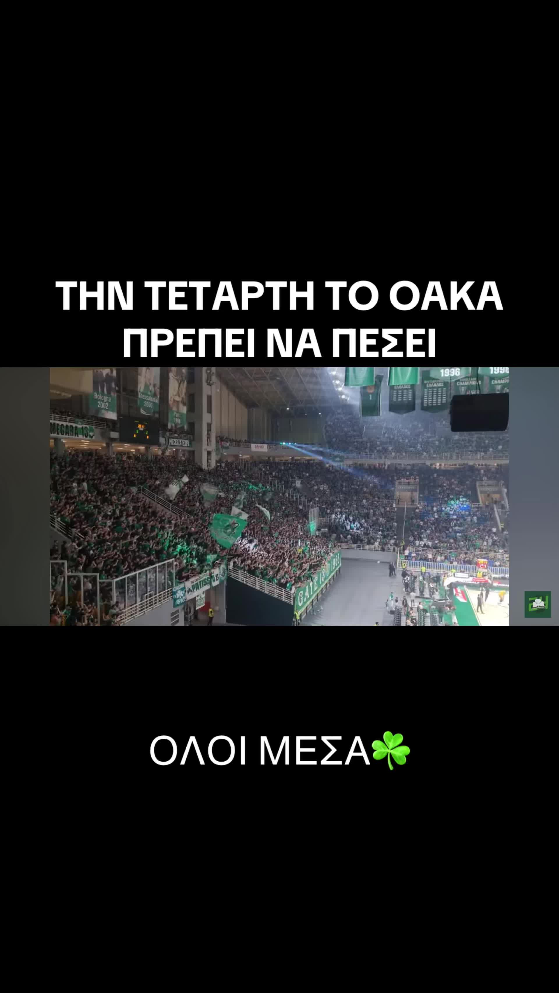 @Green blood☘️
