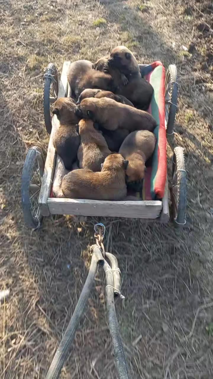 @Євгенія Ізерт