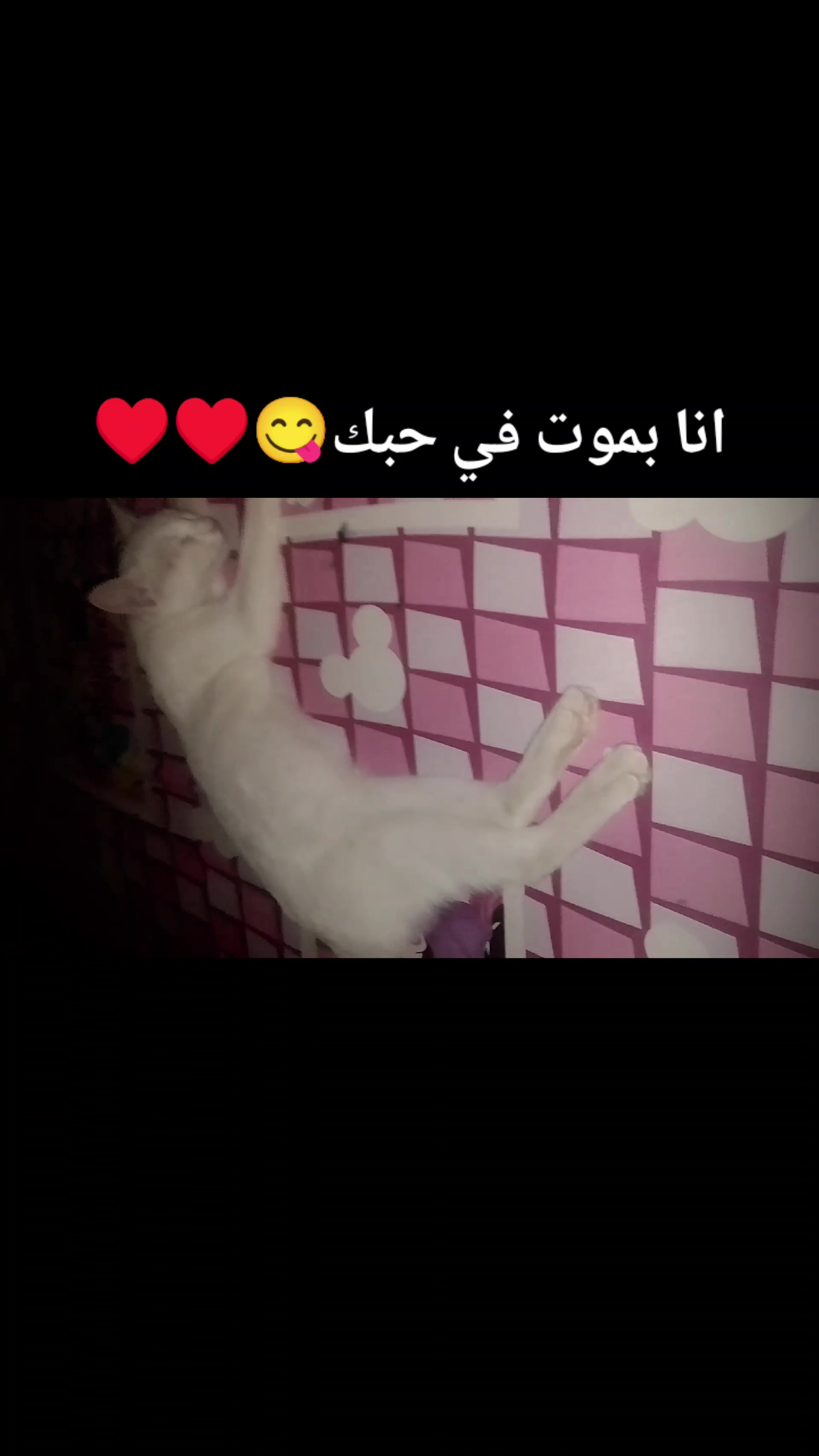 @مَلَك ⋆ Angel Soul 🪽