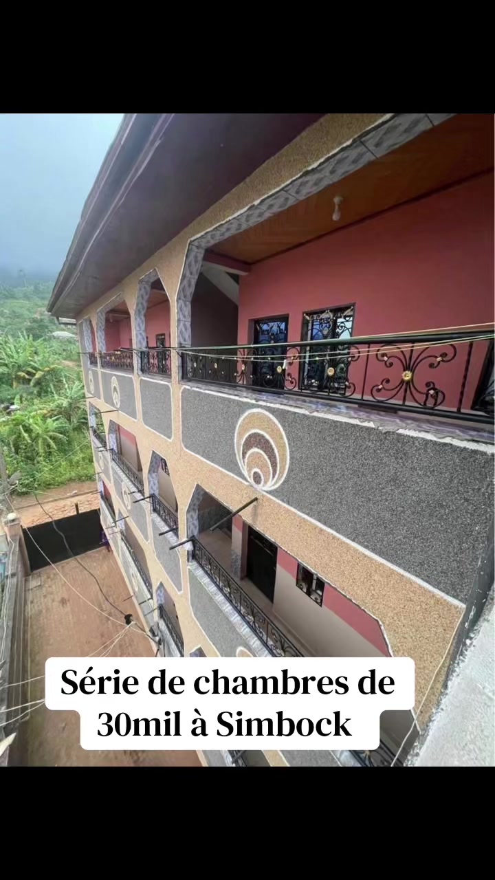 @DINO~IMMO~237🇨🇲🇨🇲