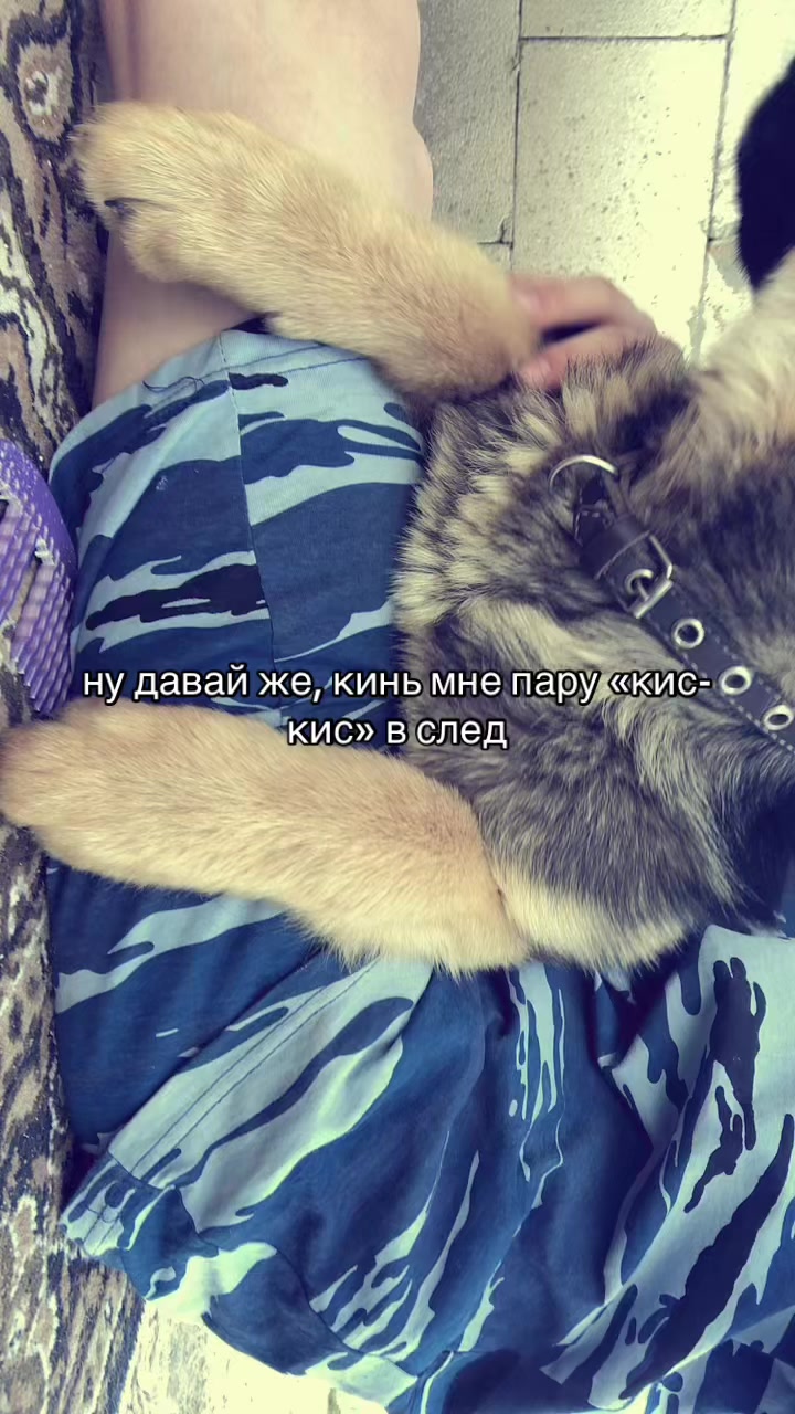 @#вайс