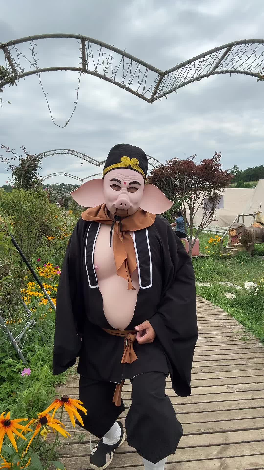@Journey to the West Pigsy