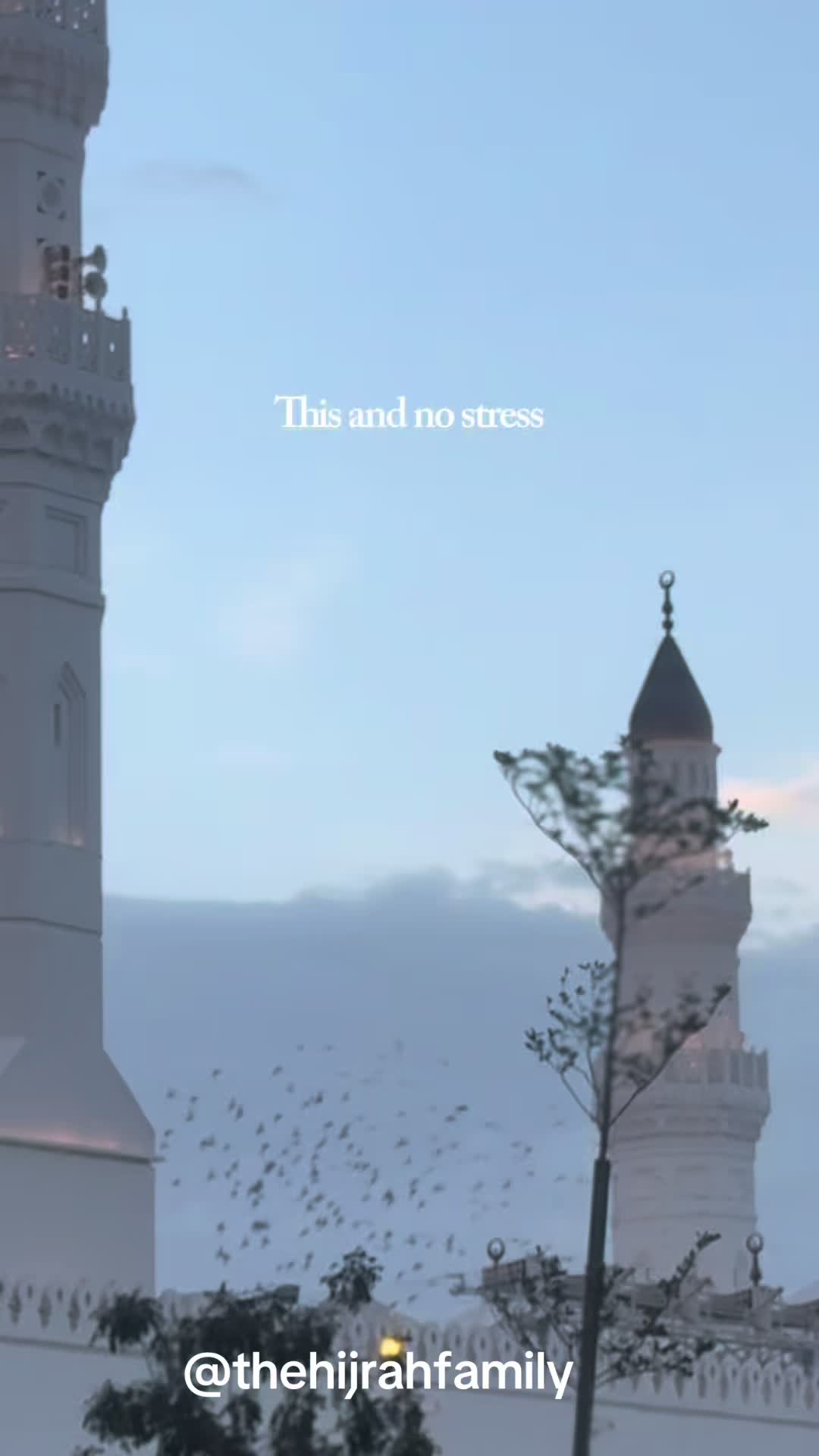 @thehijrahfamily