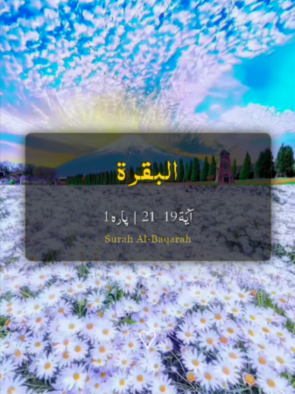 @❣️ Words of Allah ❣️