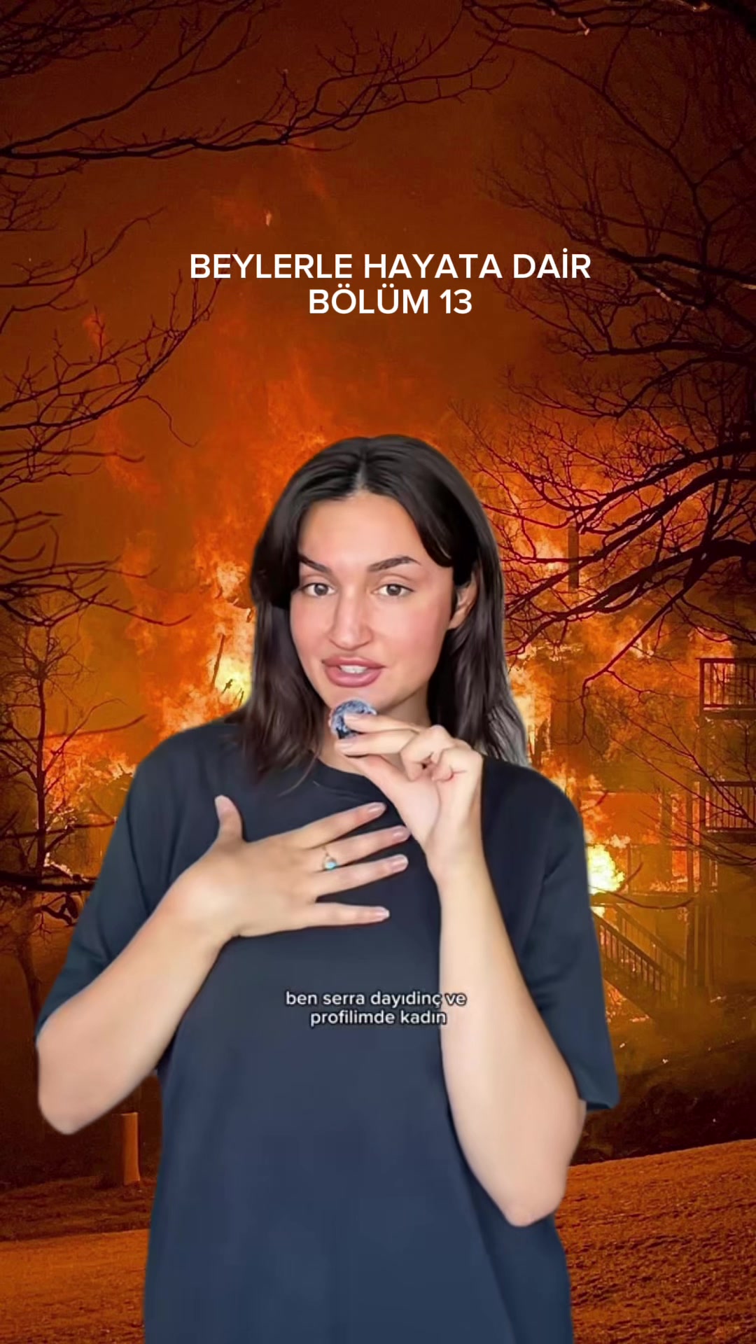 @serradayidinc