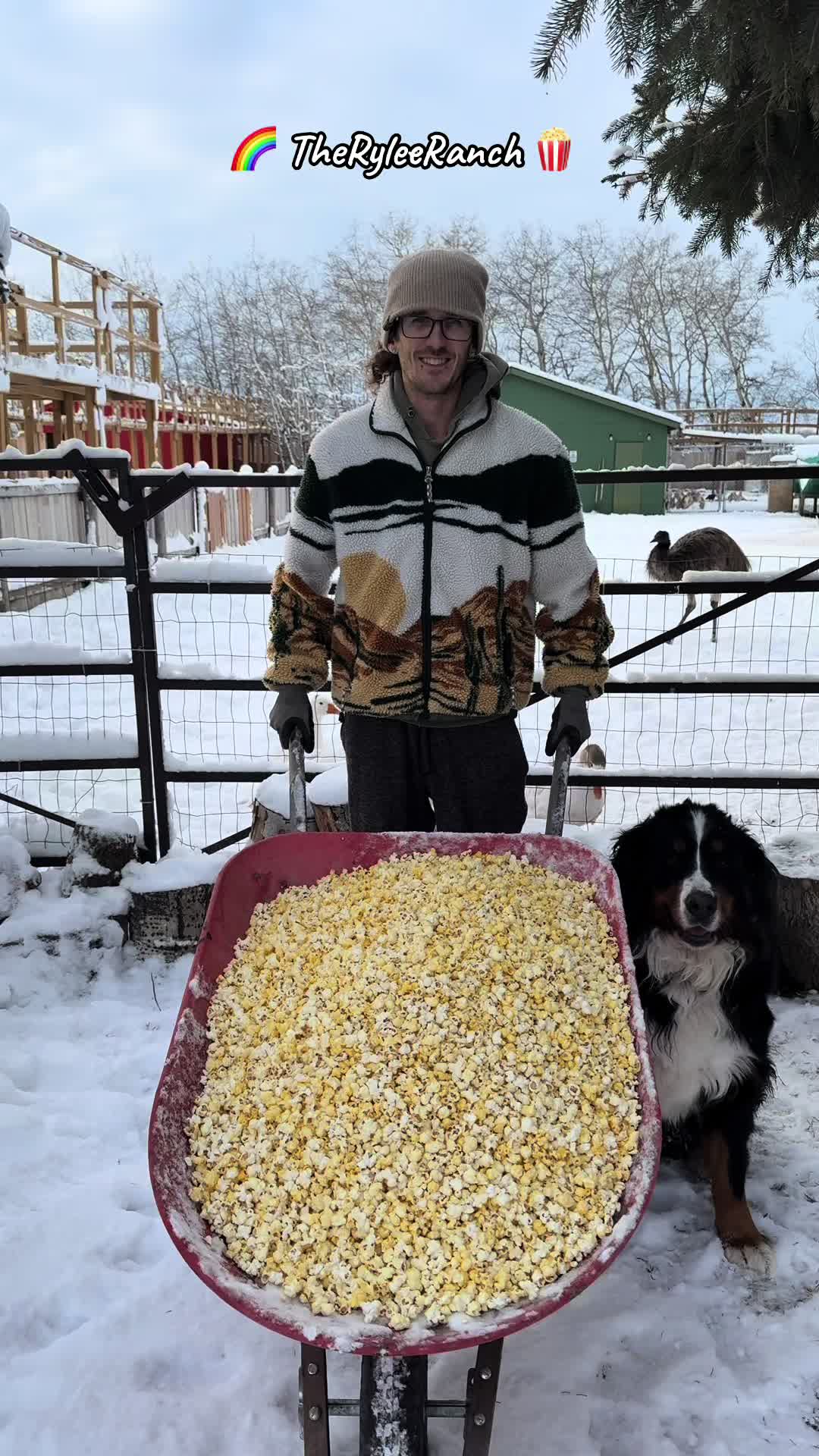 @RyleeRanch