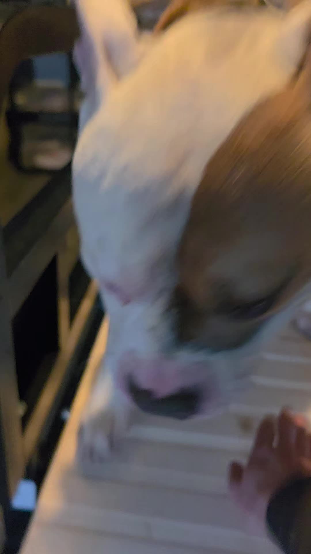 @littlejames