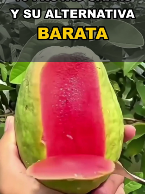 @vitalizate_now