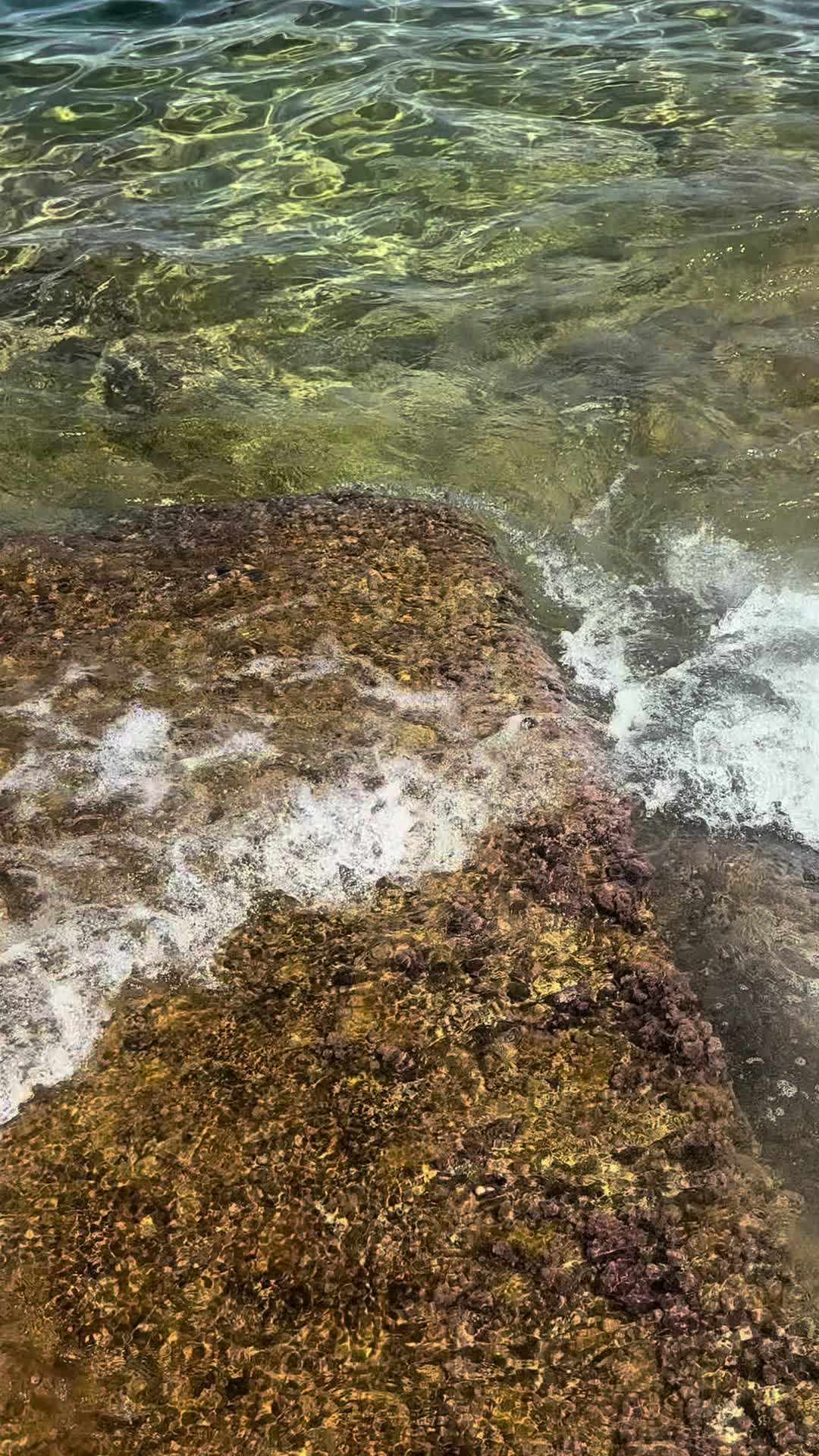 @𝓜𝔂𝓵𝓮𝓮𝓷 𝓒𝓱𝓲𝓿𝓪𝓼𝓪