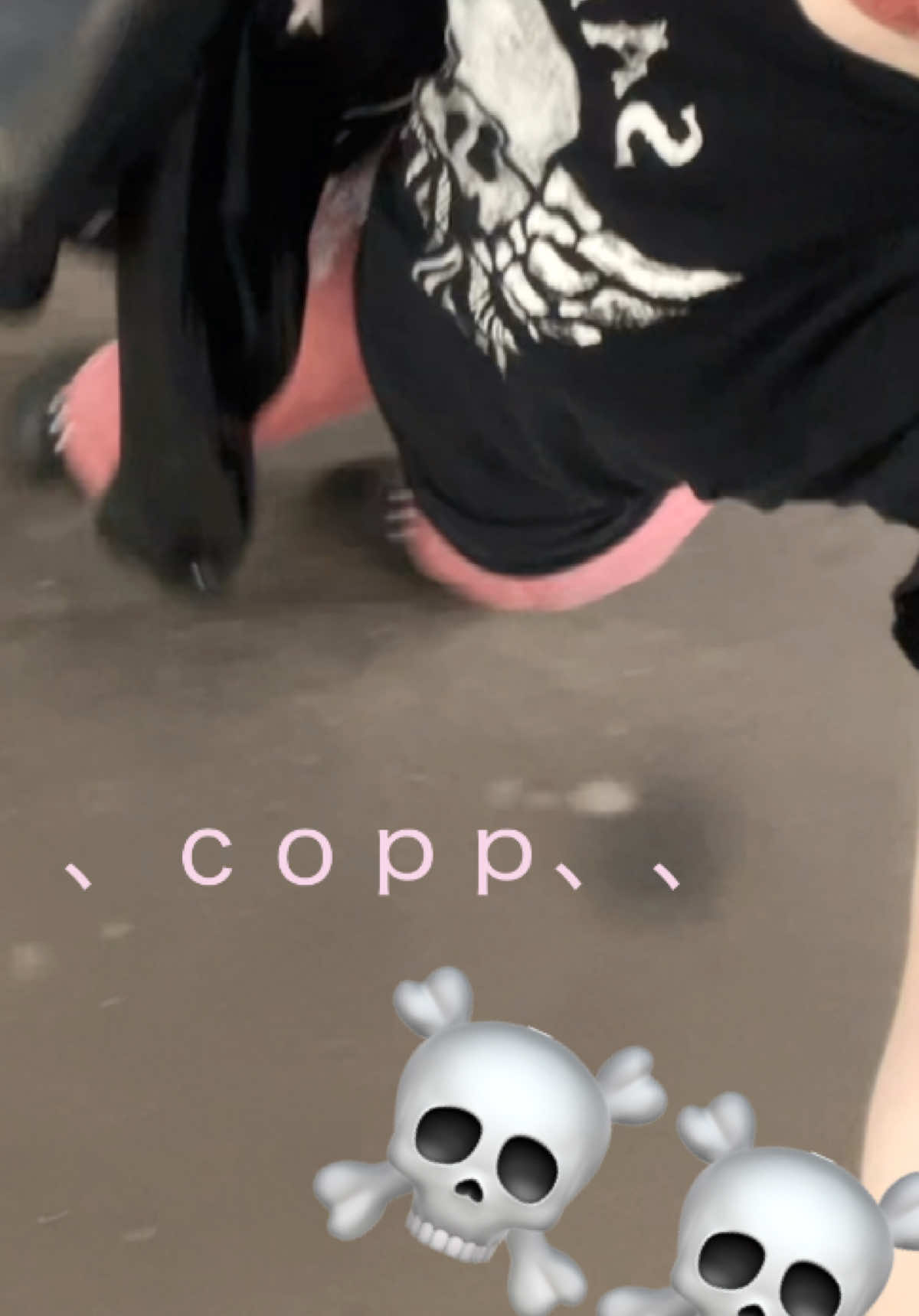 @˗ˏˋ♪𝄞 ≽^• ˕ •^≼𝄞♪♫ˎˊ˗