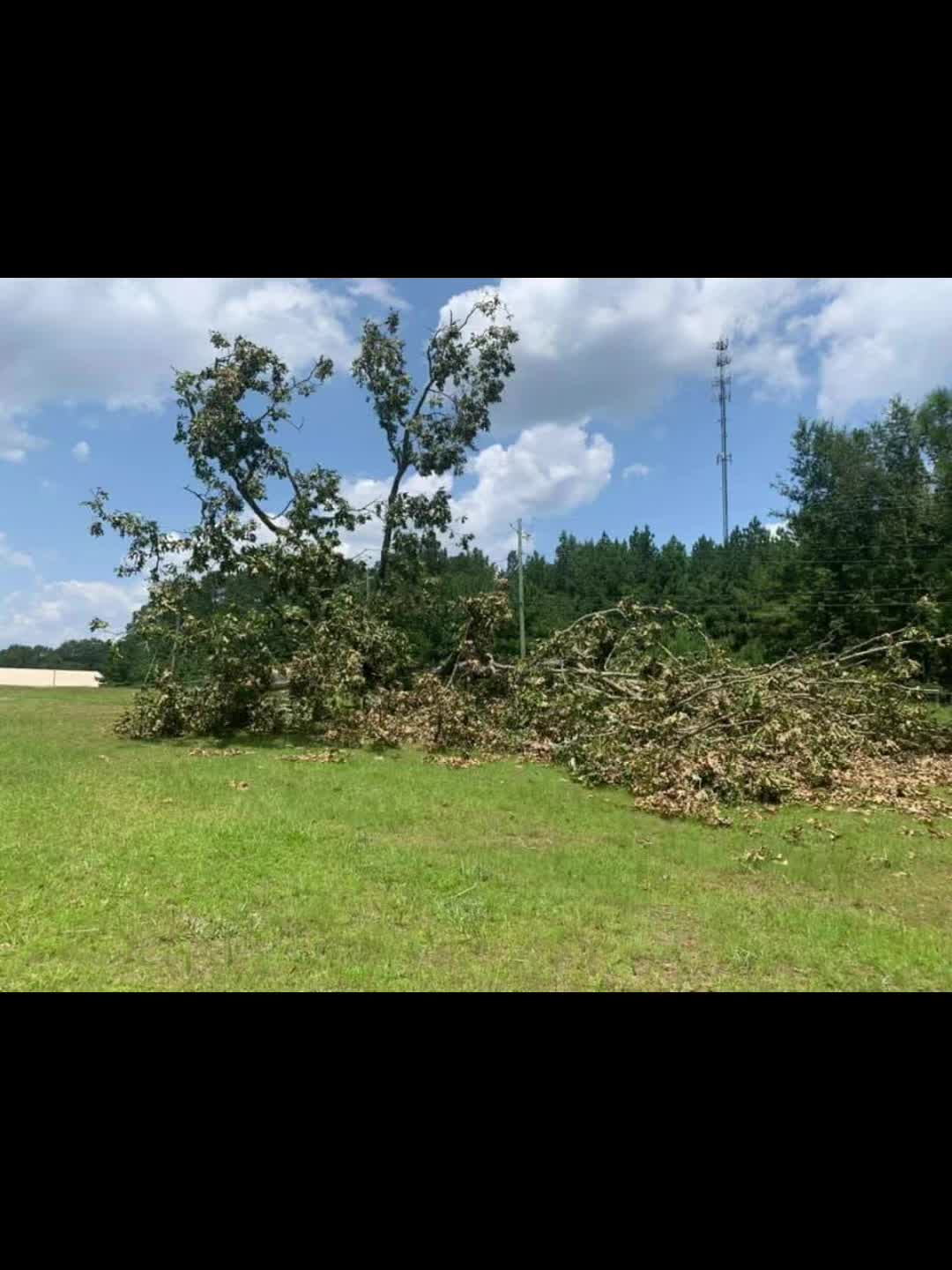 @CSR Tree Service, LLC.