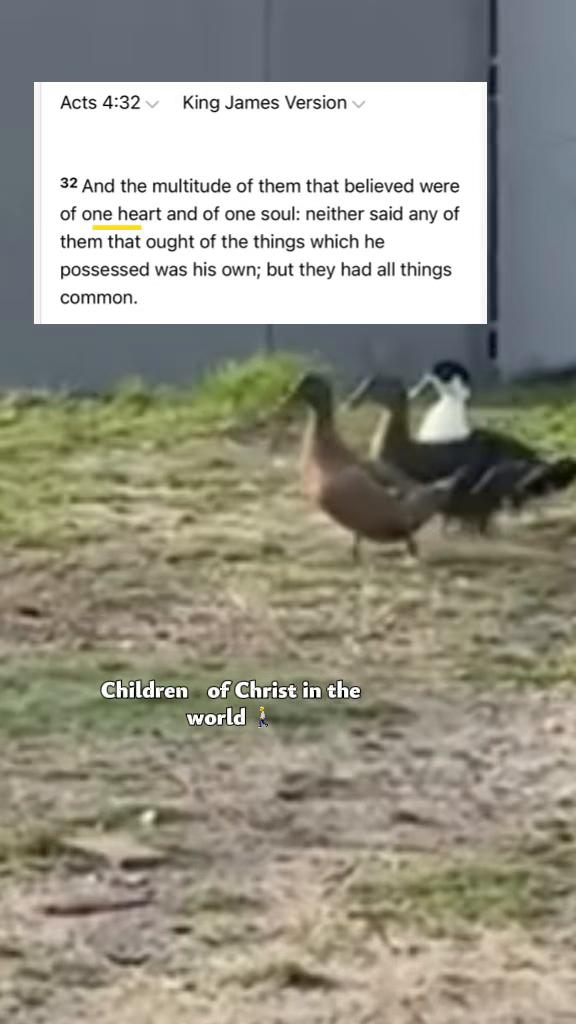 @Sermon Slaughter