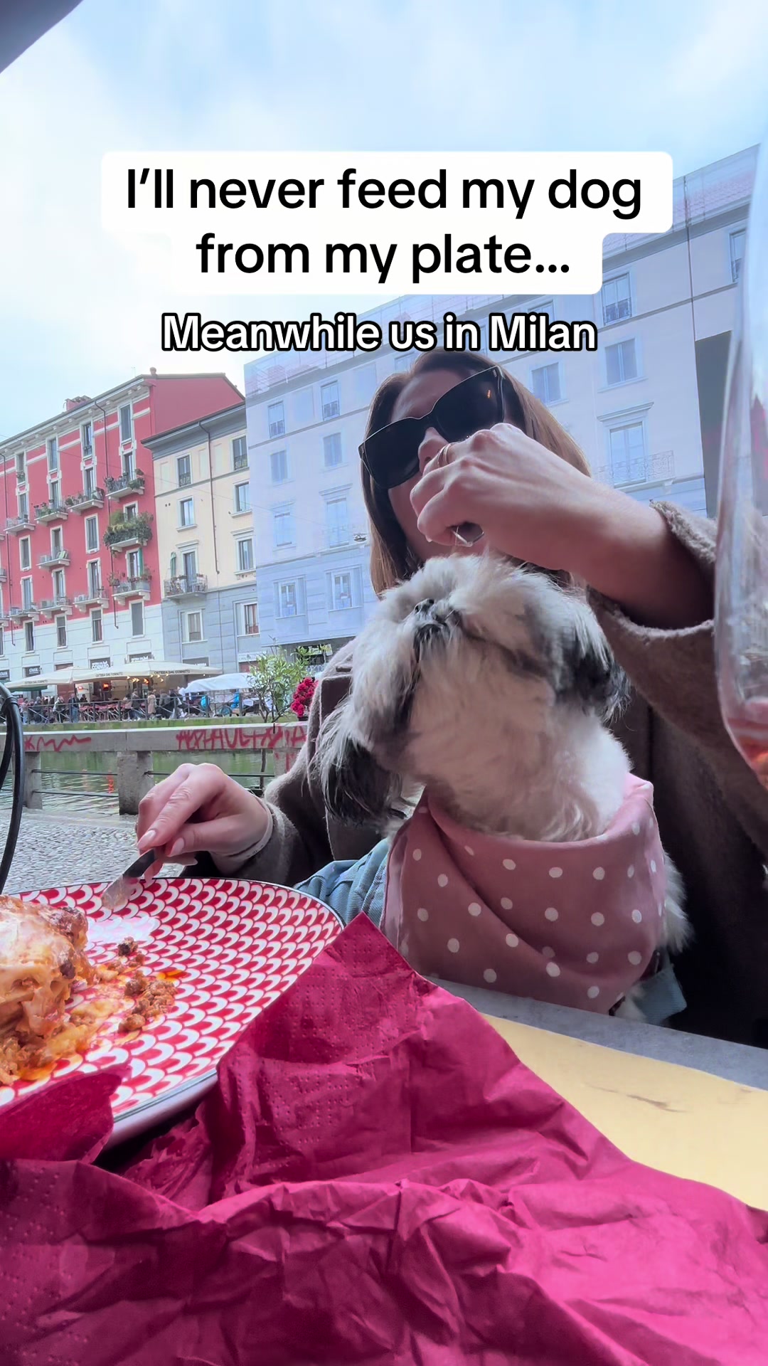 @Daisy | The Dog Travel App