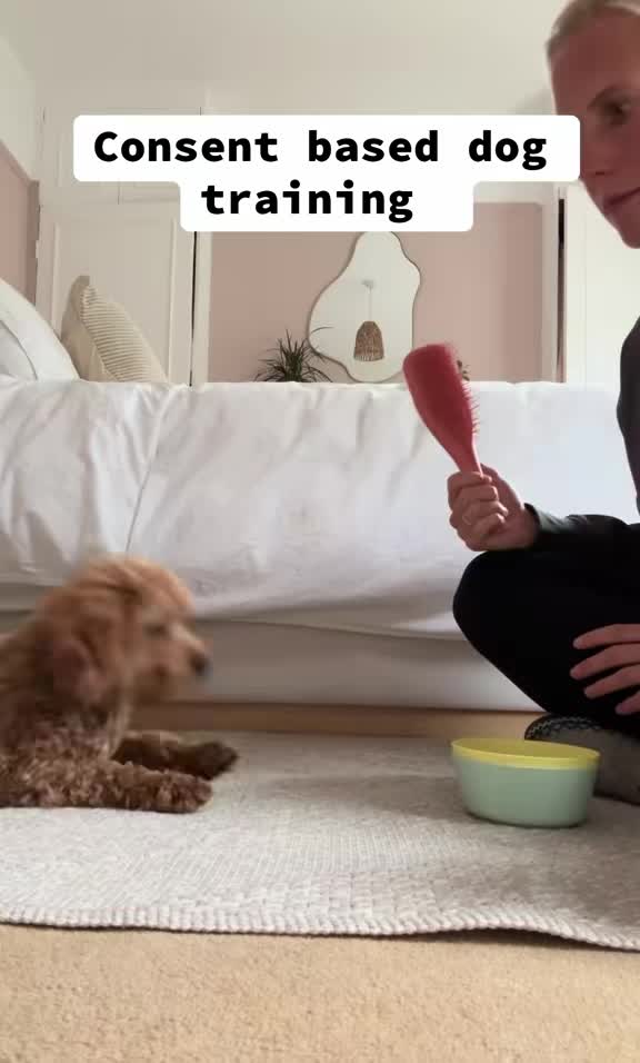 @MilneandMutt
