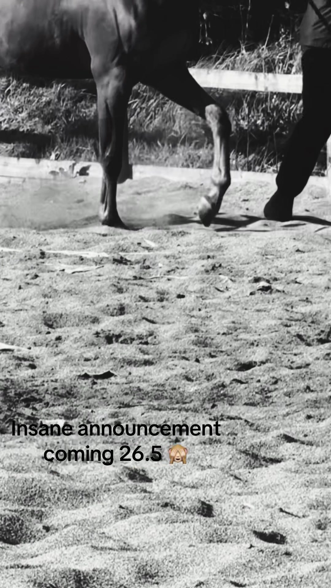 @𝐉𝐞𝐦𝐢𝐦𝐚𝐞𝐯𝐞𝐞𝐪 🐴