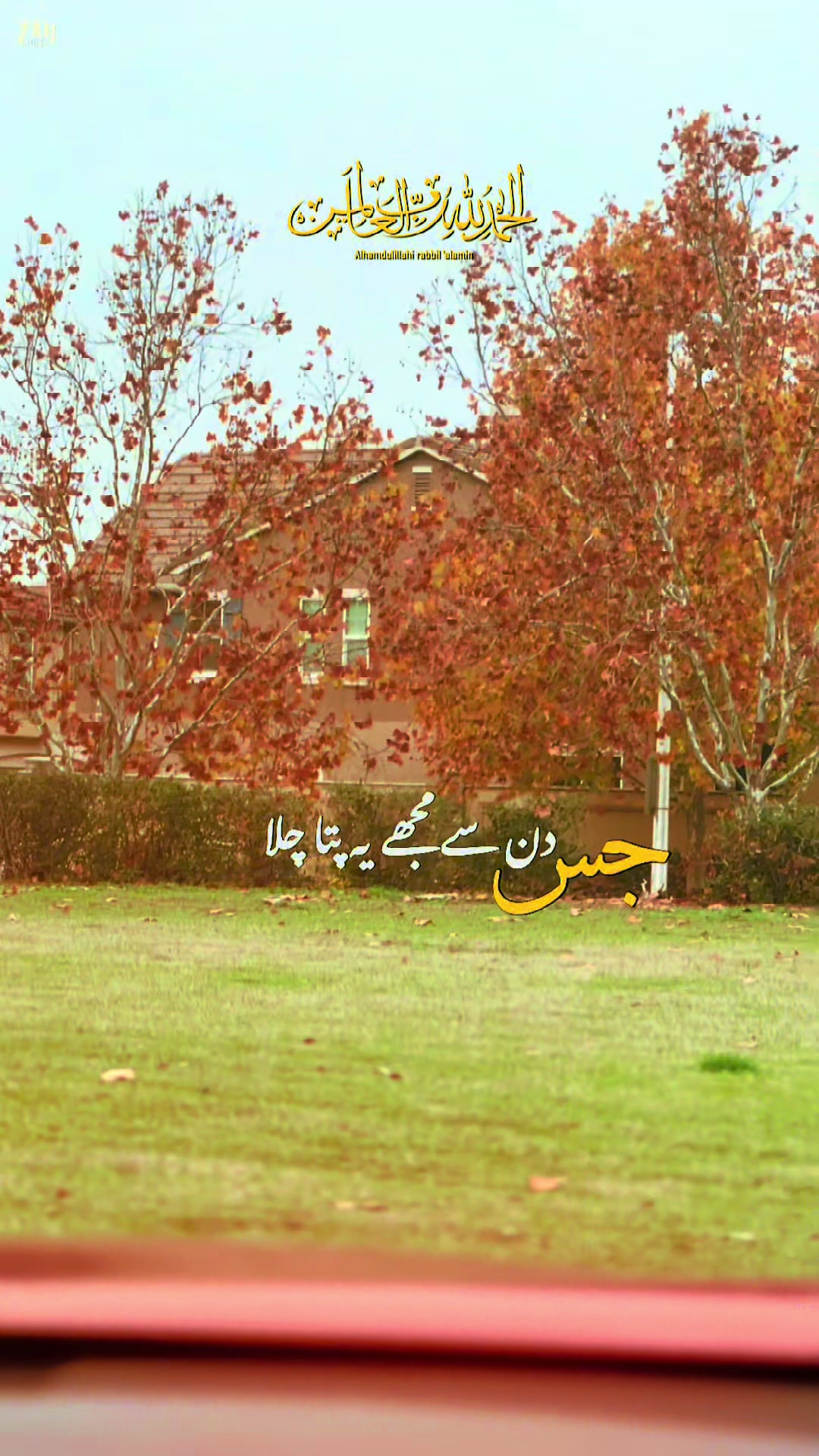 @Sham_CH