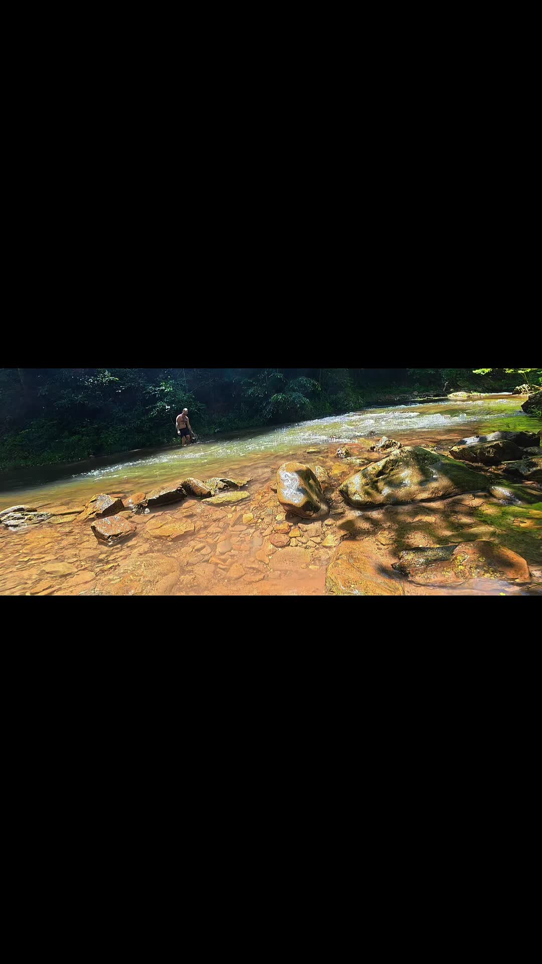 @Nature junkie