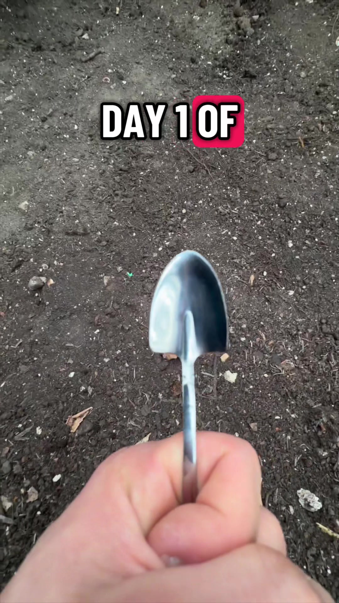 @Spoon