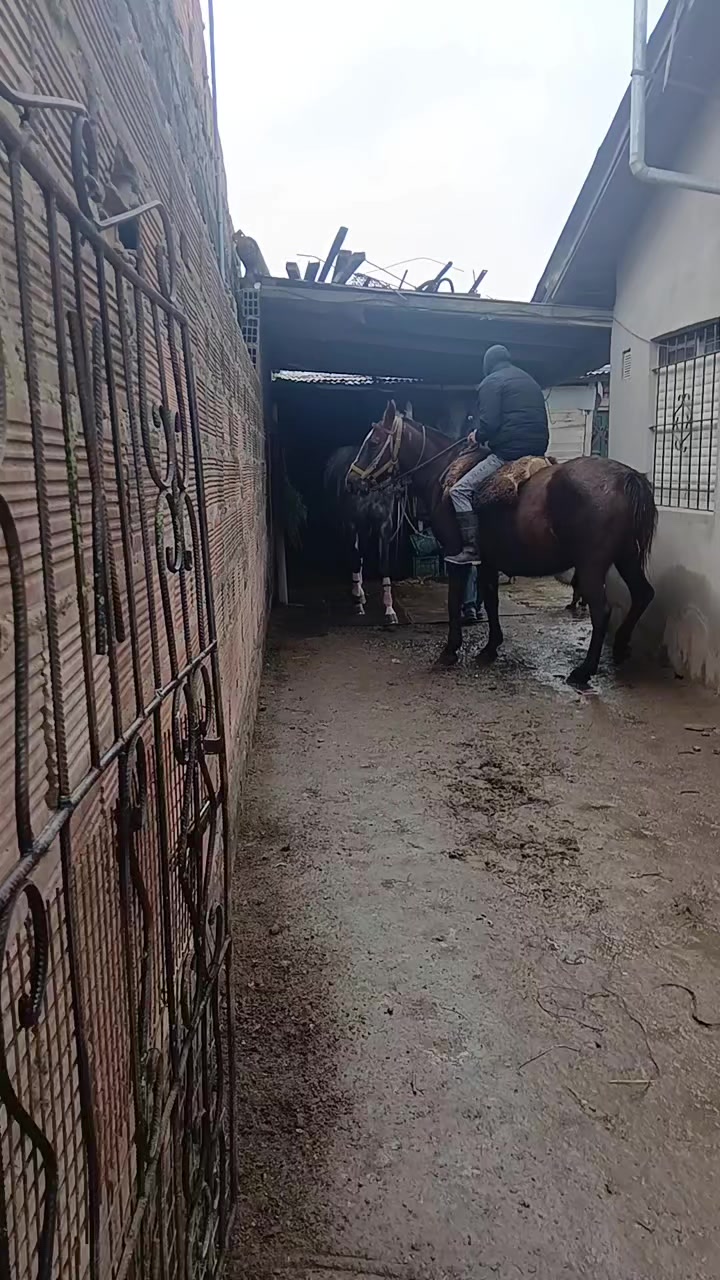 @Soledad Gigena 🏇♥️