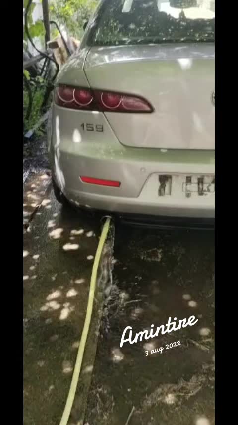 @sendo 81
