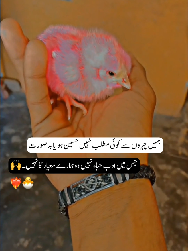 @⚠️❌چـدھـڑ بـادشــاہ❌⚠️