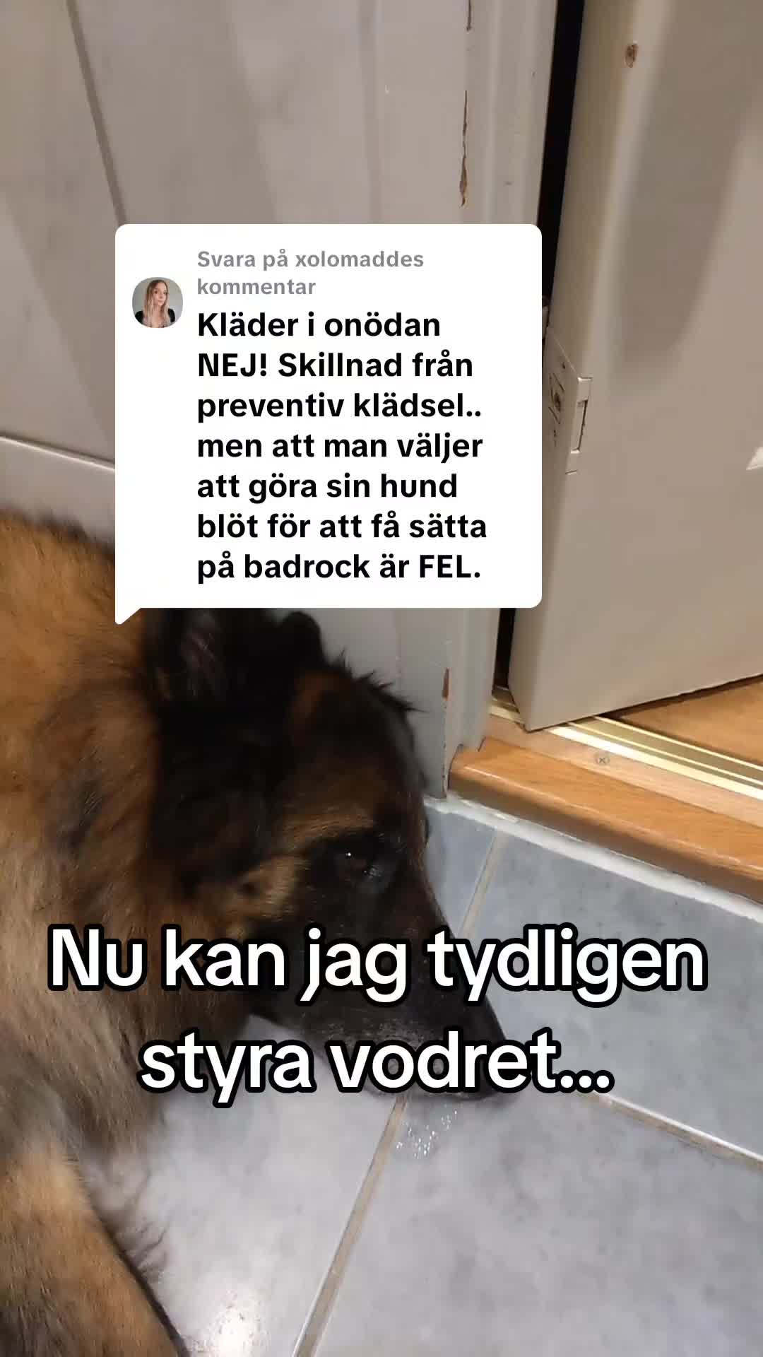 @Fenix-Tervueren AssistanceDog