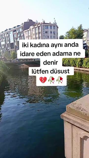 @mizgin