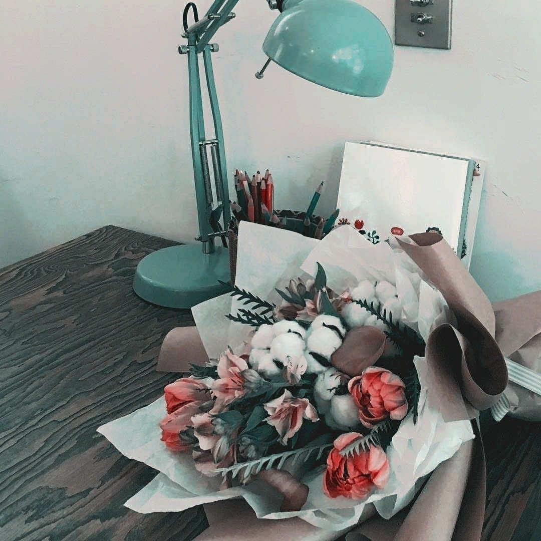 @lielle amorét