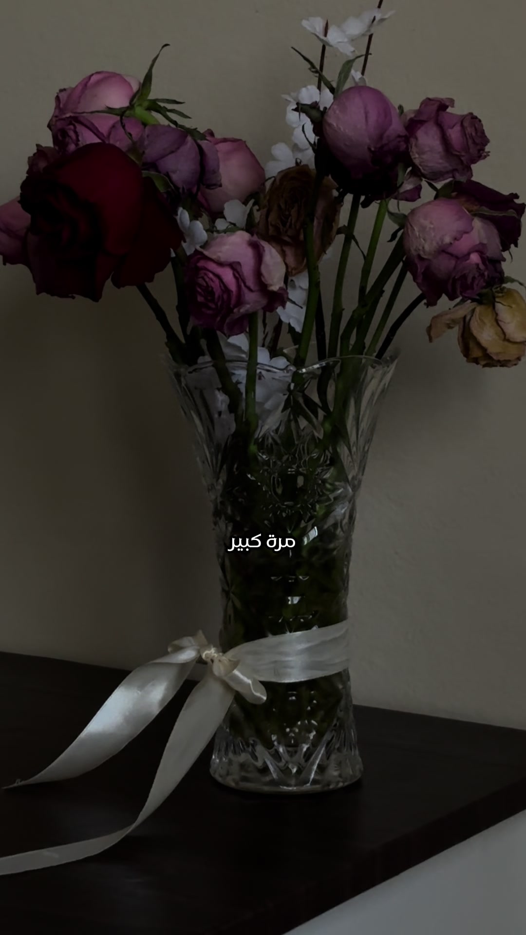 @Rawan | Ugc 🤳