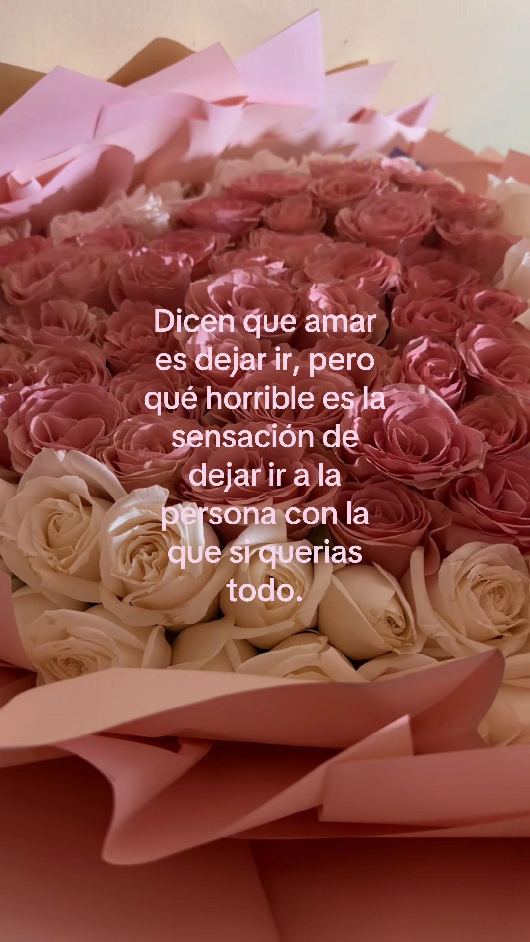 @Gabriela Gomez