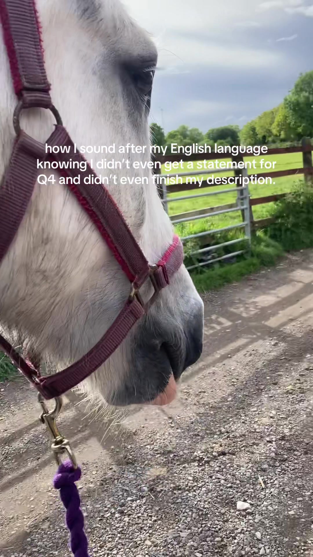 @horse