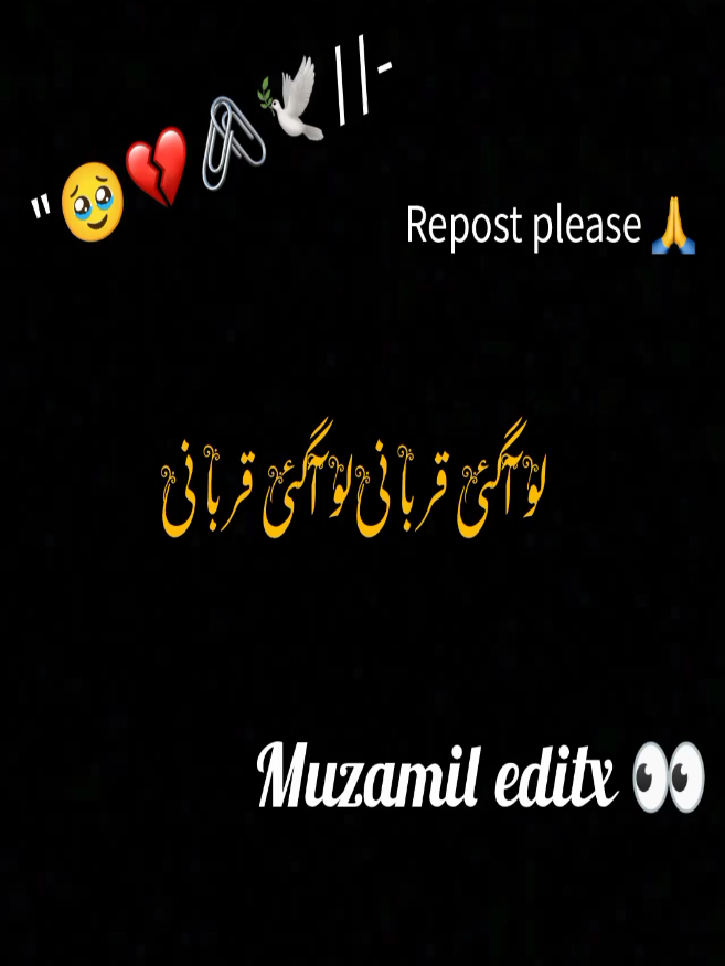 @MUZAMIL EDITX👀