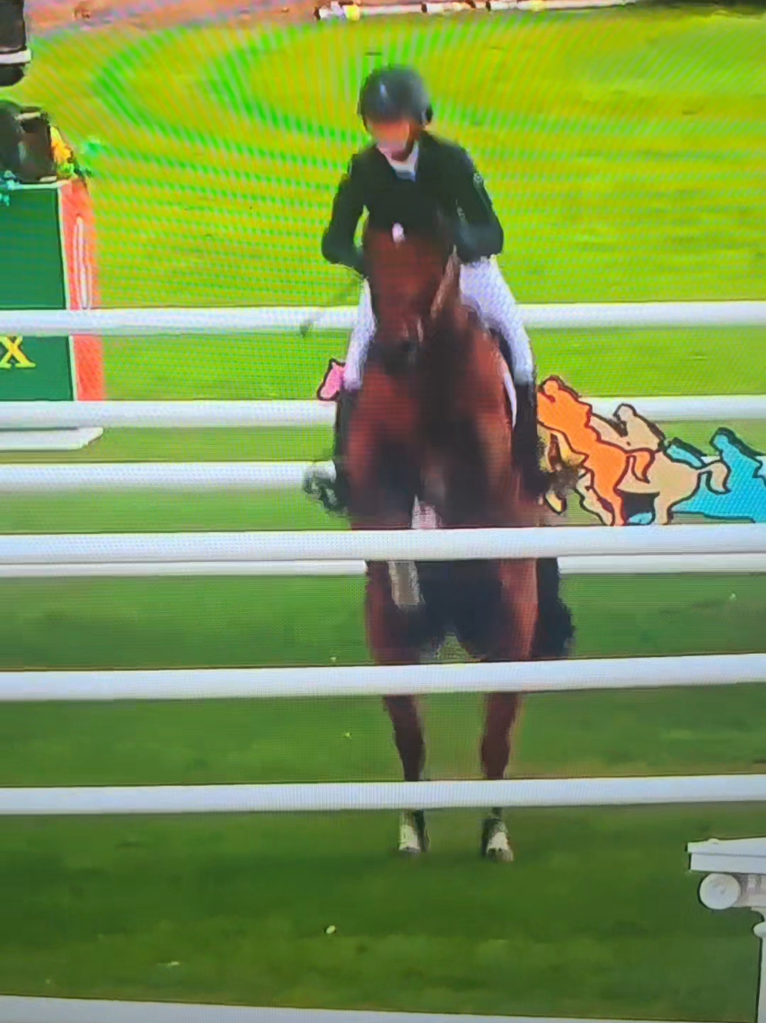 @DressageHub