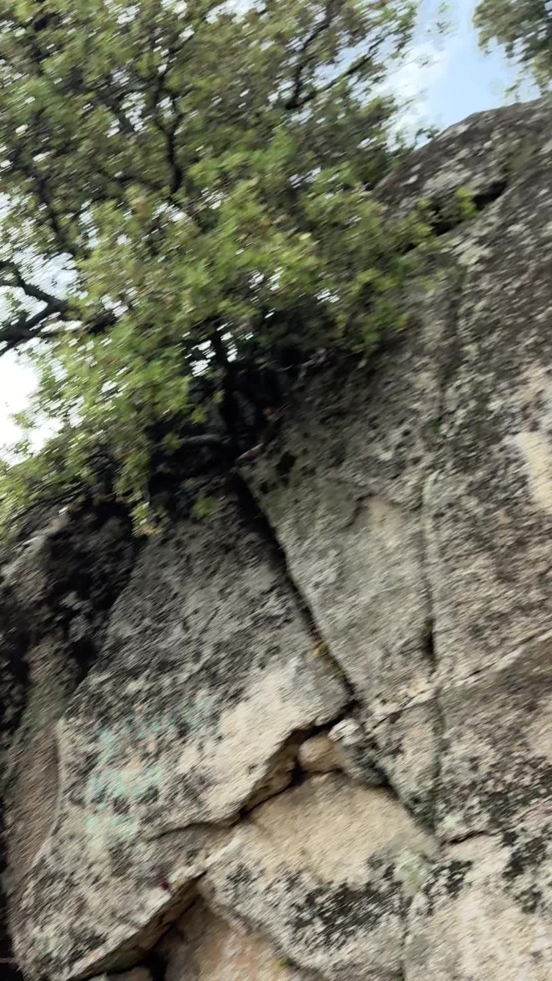 @Lokitasaltarina🔊🕺