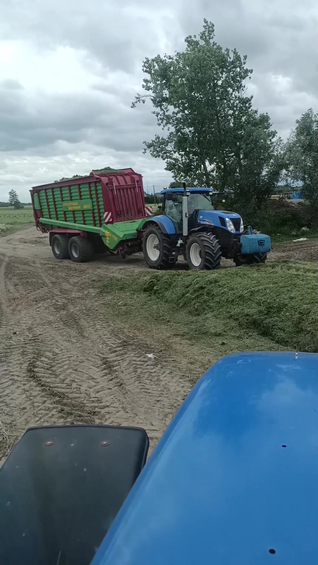 @Kamil Milewski