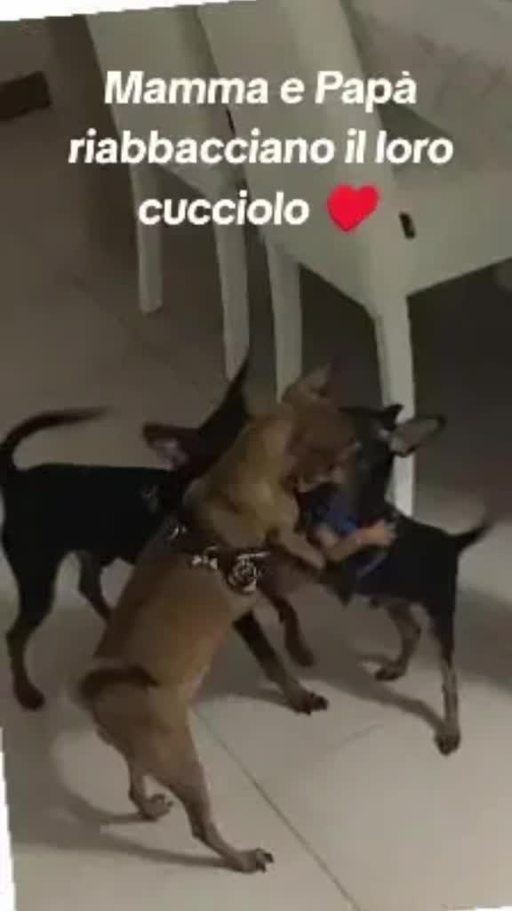 @Emy ❤️Morgan❤️Naomi❤️