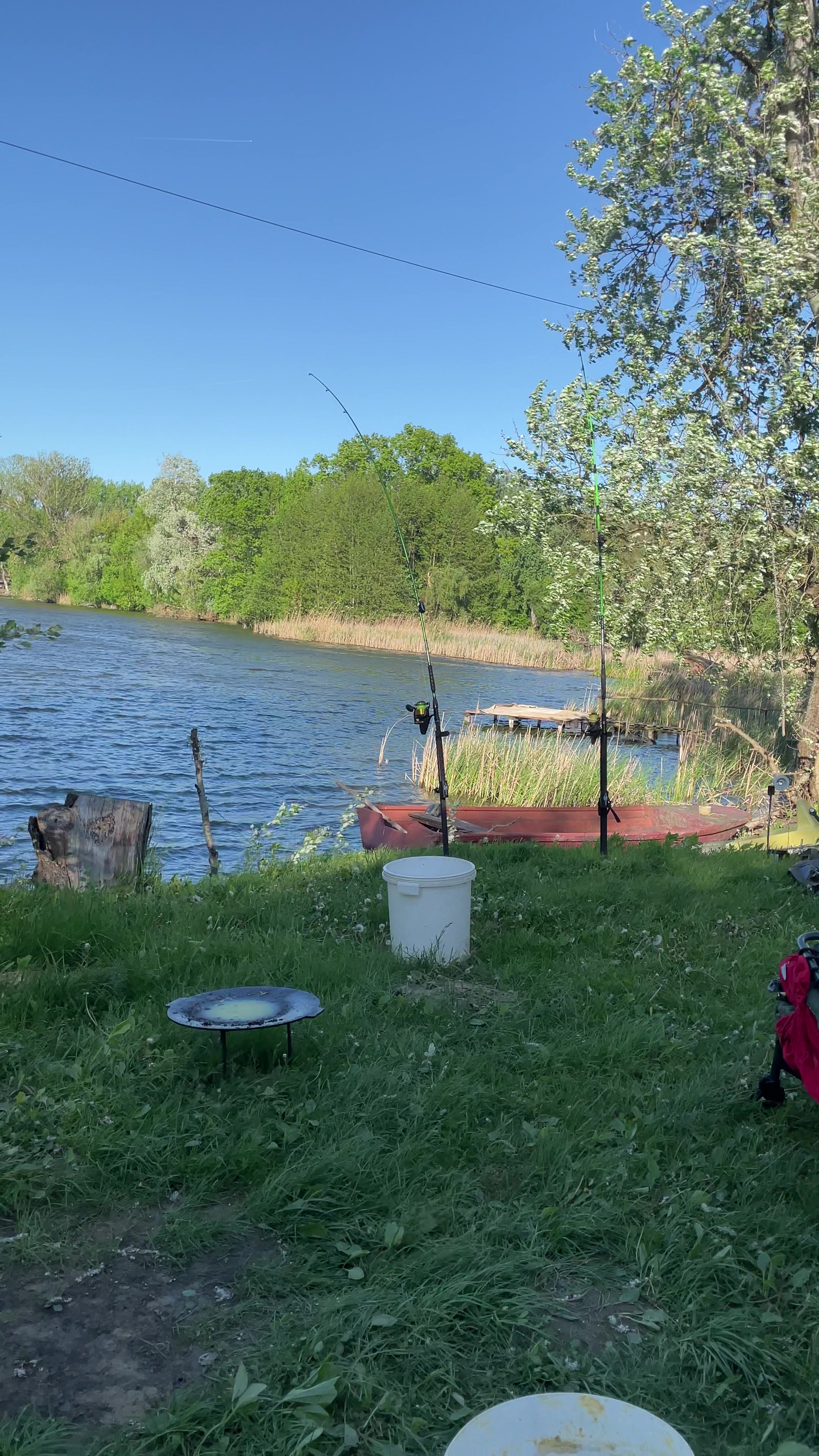 @Galifamili.carpteam