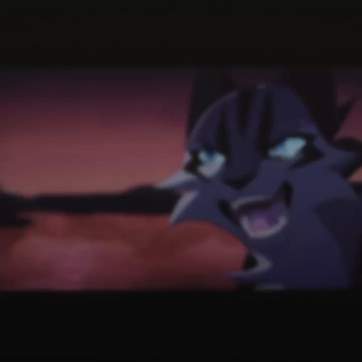 @𝐖𝐚𝐫𝐫𝐢𝐨𝐫 𝐜𝐚𝐭𝐬🐈🐈⬛