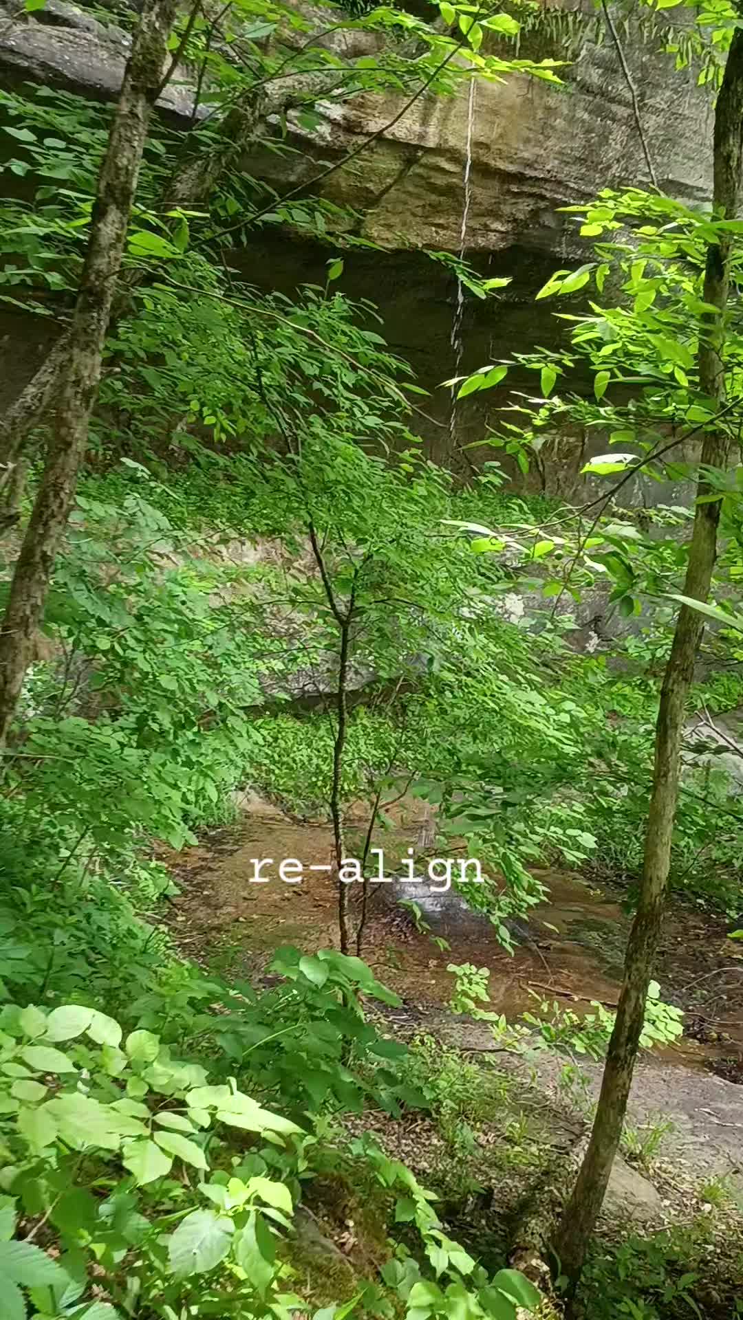 @DakotaD | the scenic gardener