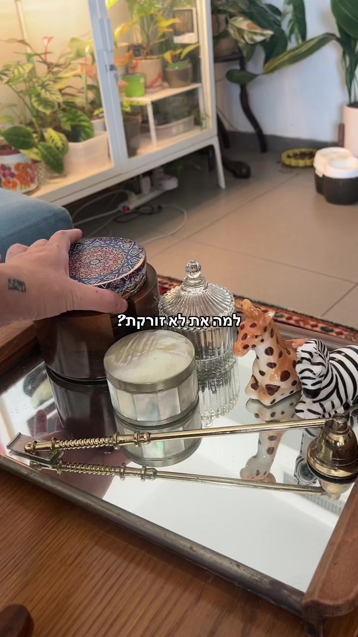 @מירב מלכת הזבל והעציצים