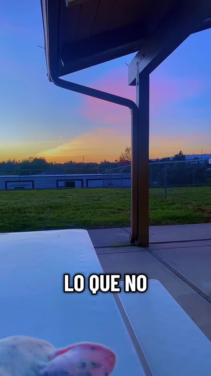 @Carolain Vz