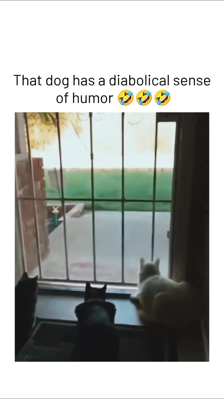 @JustinL