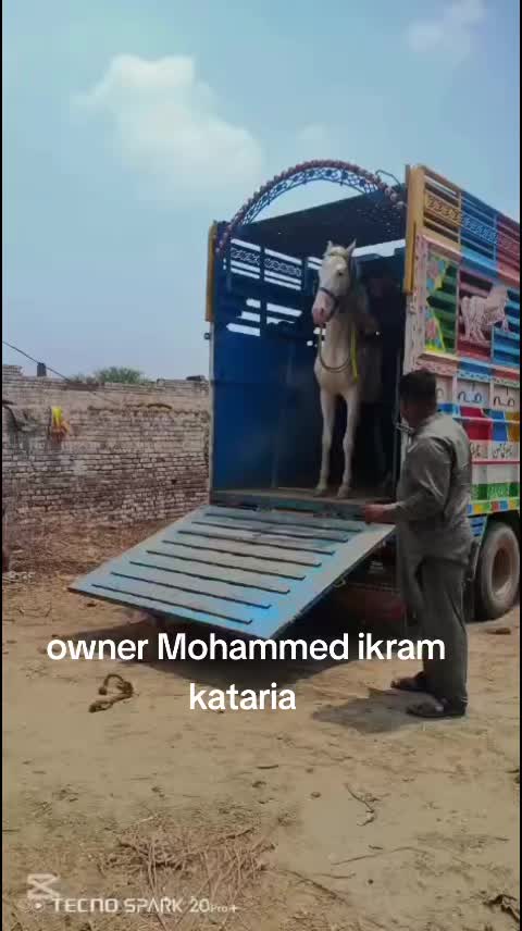 @majid kataria
