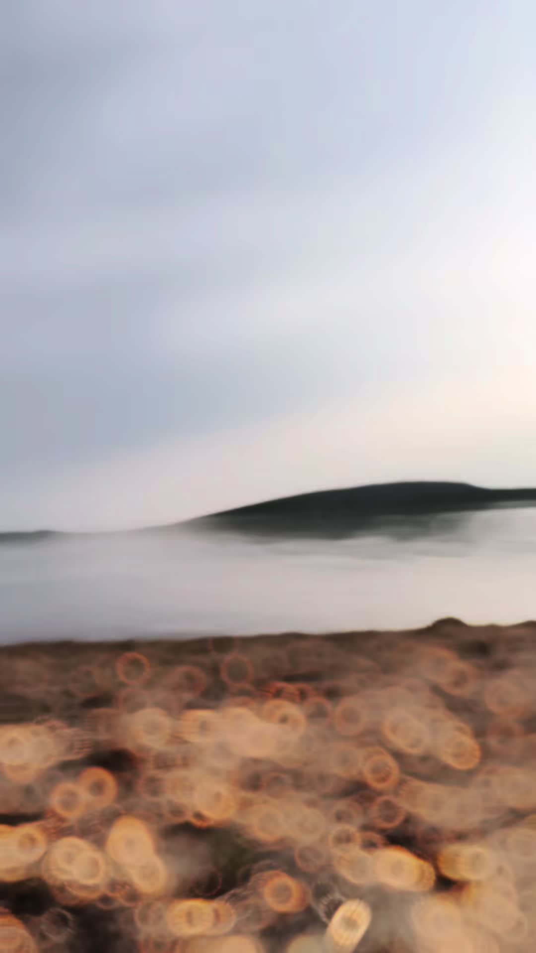 @⭐️αlҽxs.тєяια˙⊱.༄