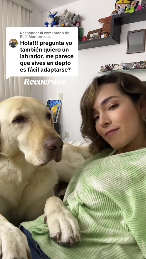 @Odemaris Ruiz