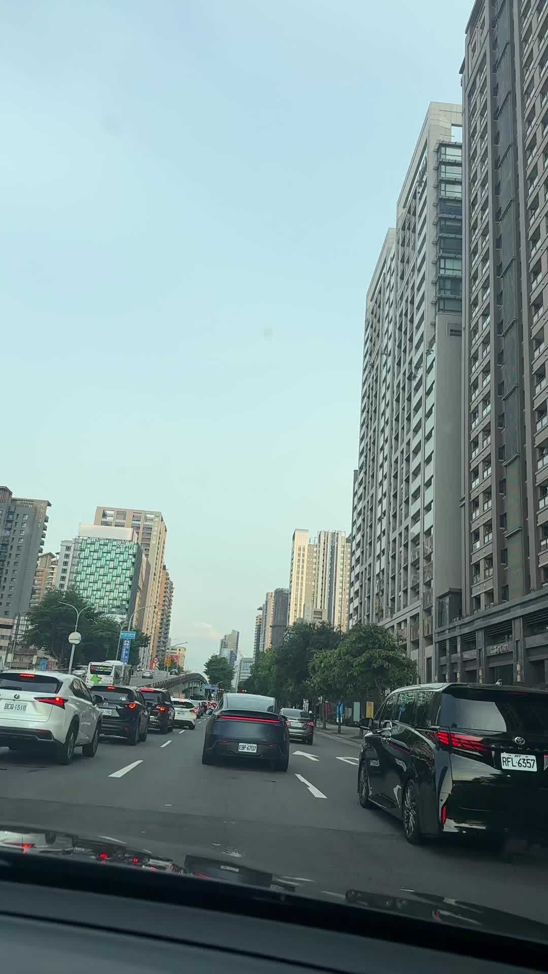 @辣媽hienvo