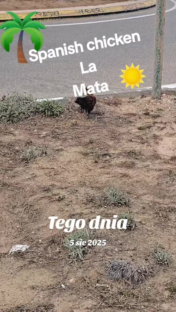 @mariuszmwm