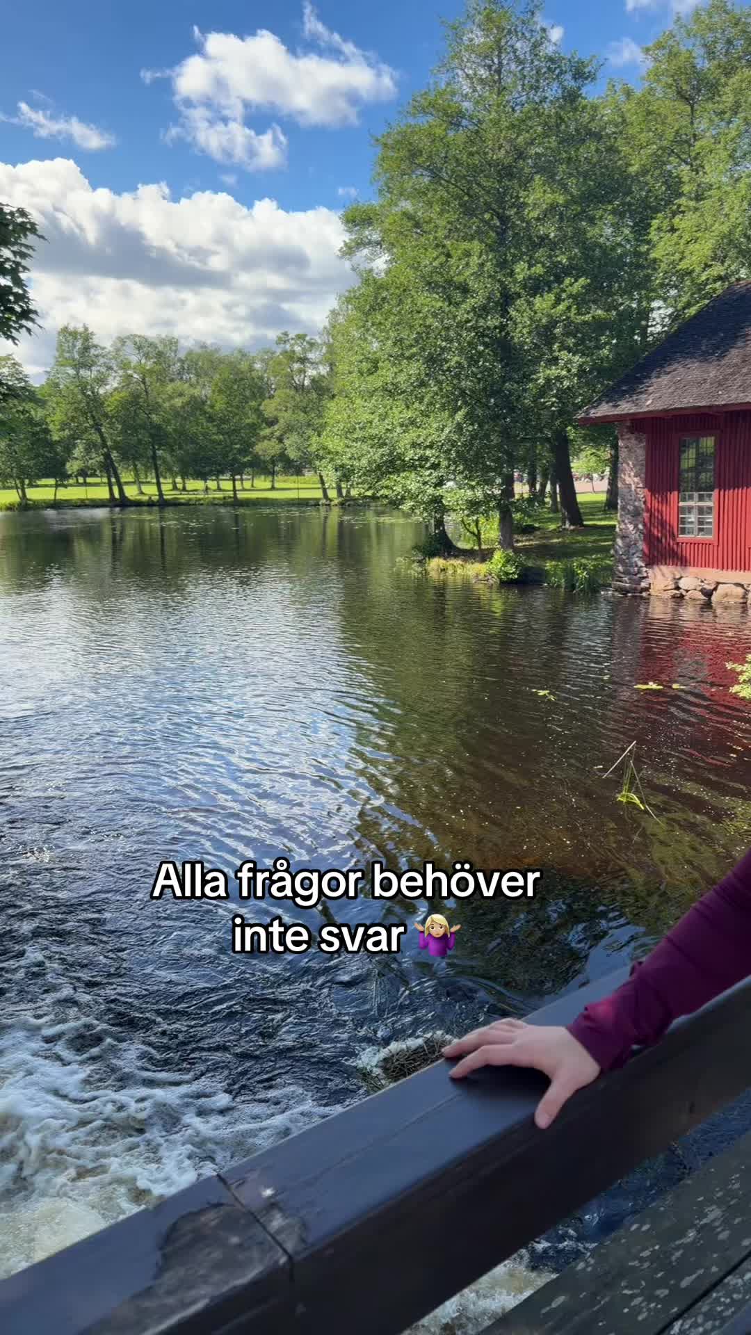 @Selma WALLNER 🙋🏼♀️🙋🏼♀️